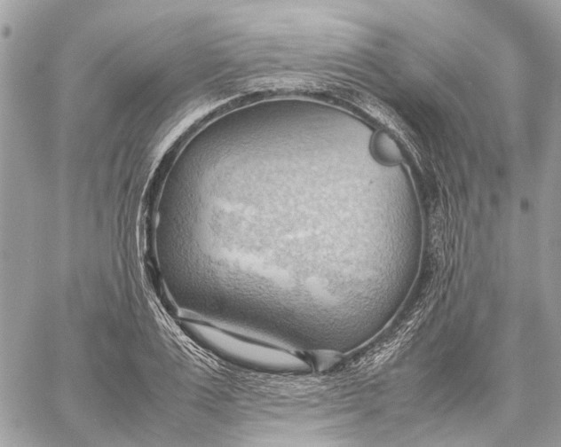 X0000057580983200510071605