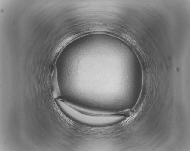 X0000057580985200510071605