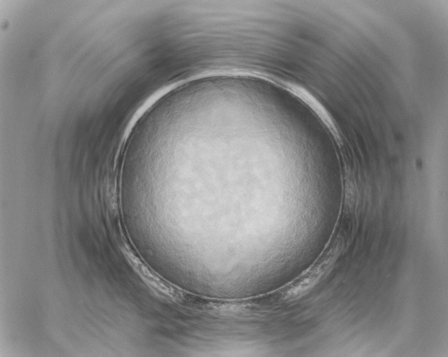 X0000057581004200510071604