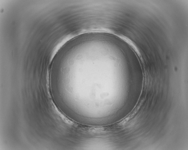 X0000057581006200510071604