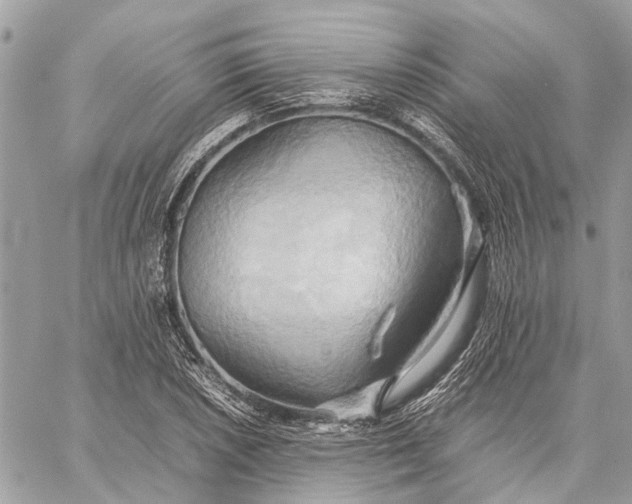 X0000057581026200510071604