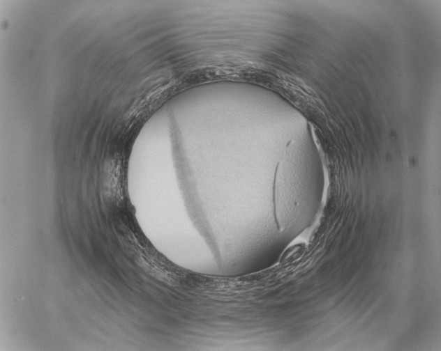 X0000057581060200510071603