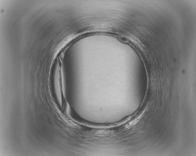 X0000057581077200510071603