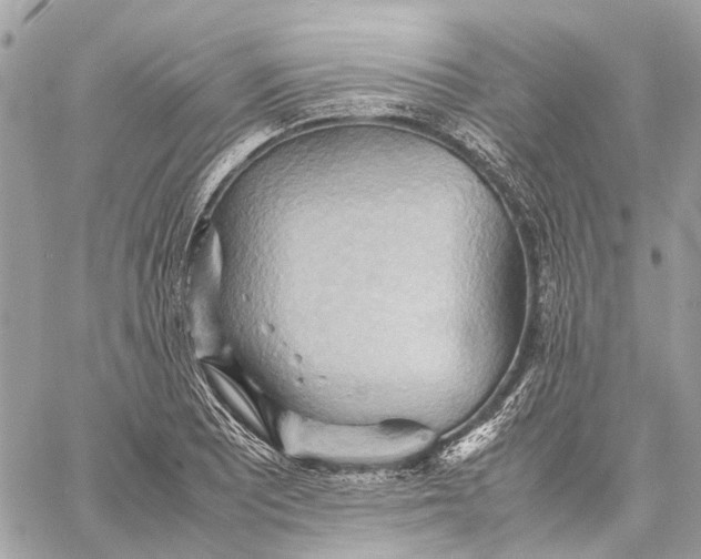 X0000057581081200510071603