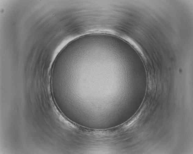 X0000057581102200510071603