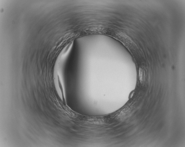 X0000057581107200510071602