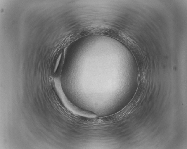 X0000057581108200510071602