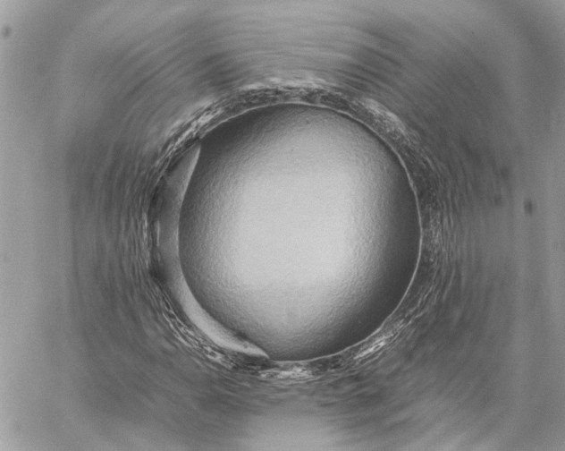 X0000057581110200510071602