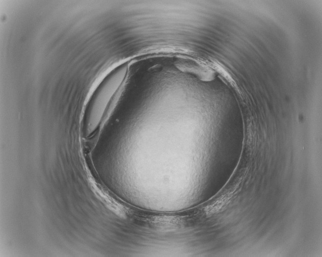 X0000057581132200510071602
