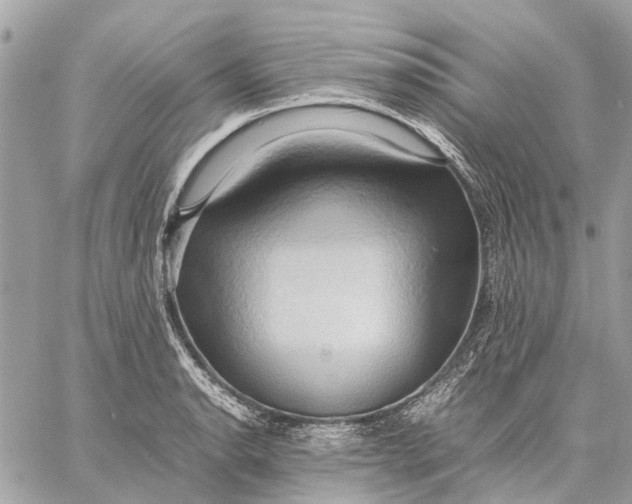 X0000057581134200510071602