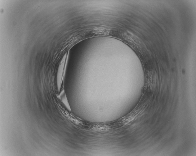 X0000057581154200510071602