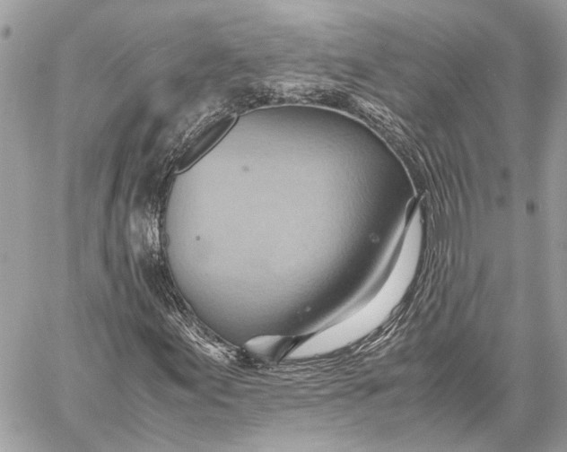 X0000057581155200510071602