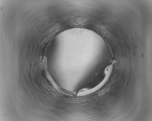 X0000057581156200510071602