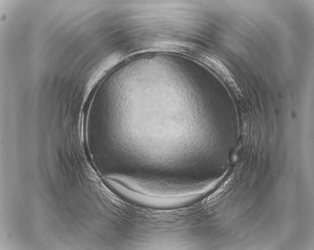 X0000057581180200510071601