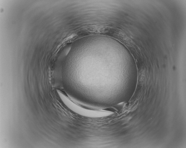 X0000057581202200510071600