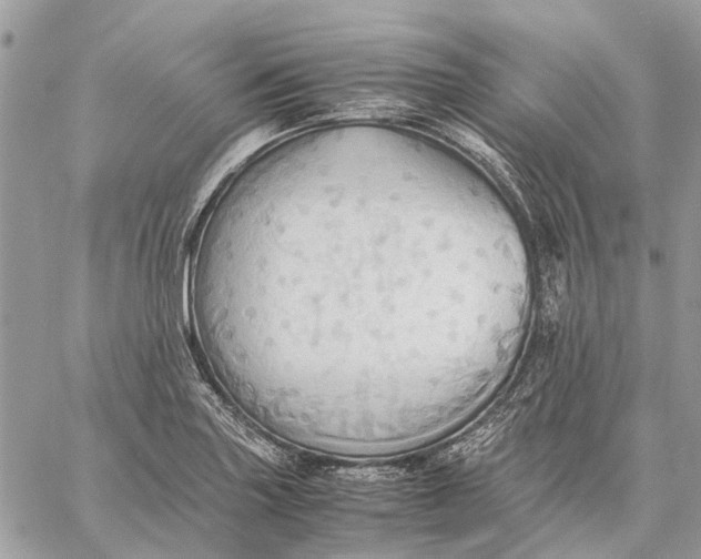 X0000057581227200510071601