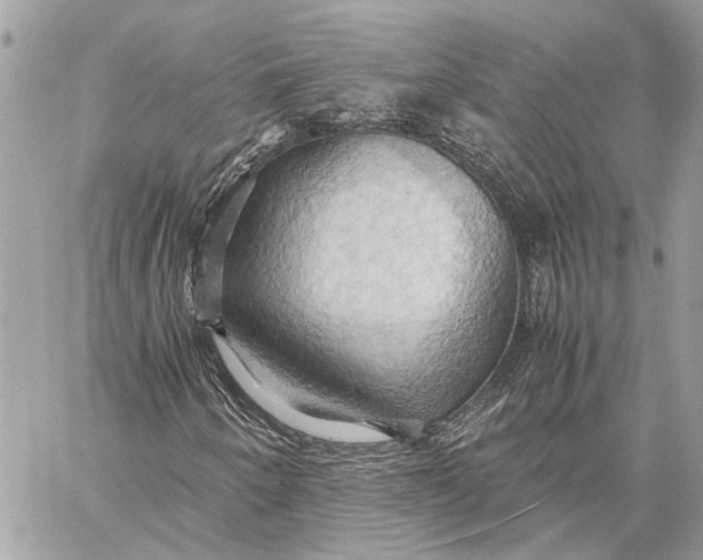 X0000057581250200510071600