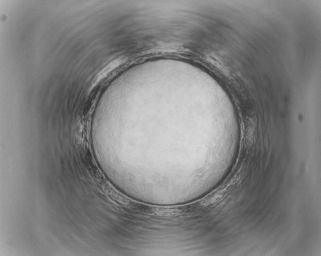 X0000057581258200510071600