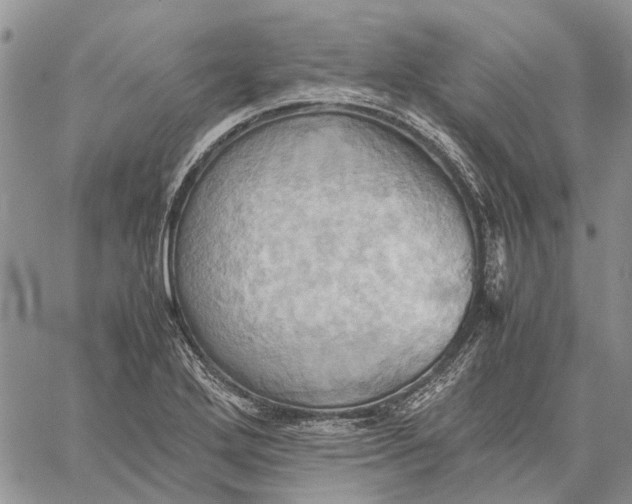 X0000057581272200510071600