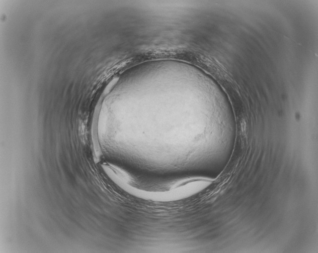 X0000057581300200510071559