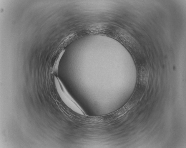 X0000057581346200510071559