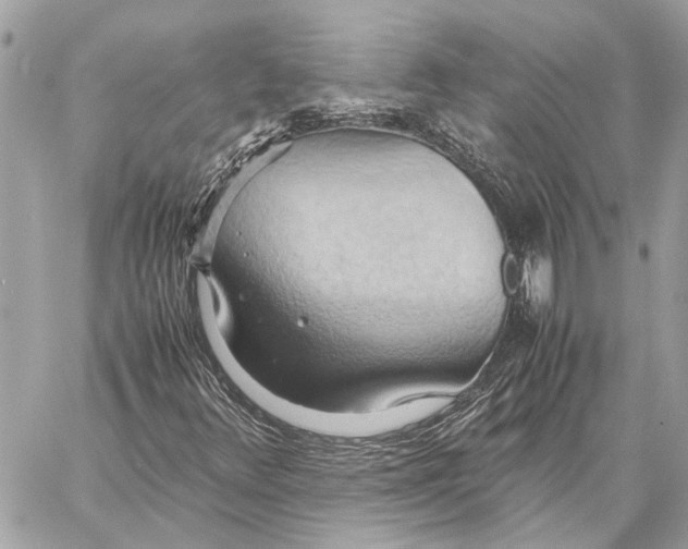 X0000057581348200510071558