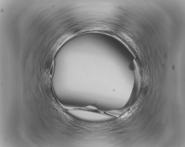 X0000057581369200510071558