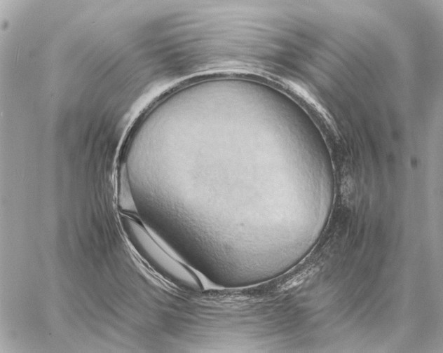 X0000057581372200510071558