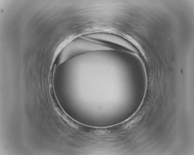 X0000057581373200510071558