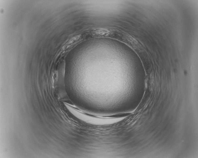 X0000057581394200510071557