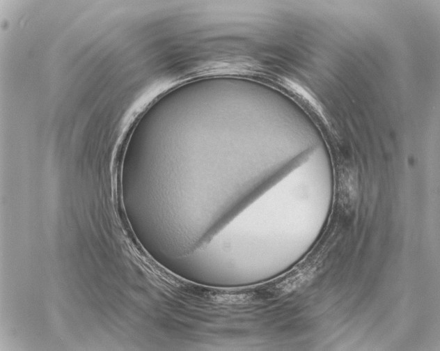 X0000057581419200510071557