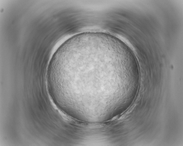 X0000057581440200510071558