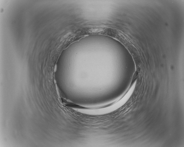 X0000057581441200510071557