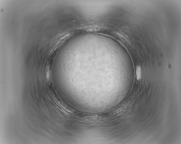 X0000057581444200510071557