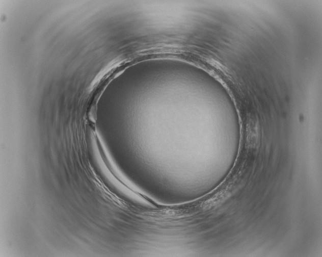 X0000057581450200510071557