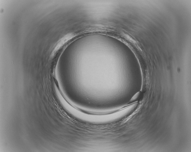 X0000057581453200510071557