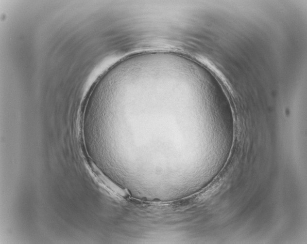 X0000057581477200510071556