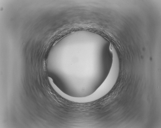 X0000057581492200510071555