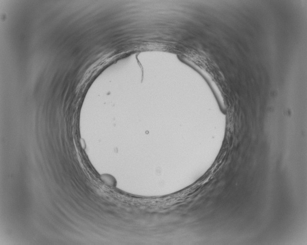 X0000057580001200510171719