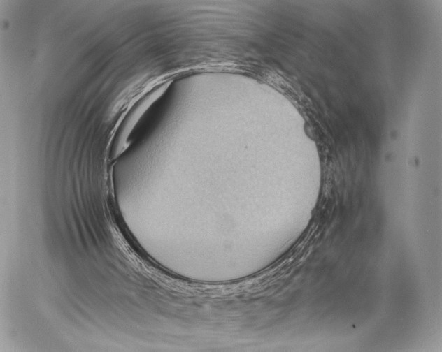 X0000057580002200510171719