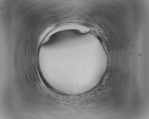 X0000057580003200510171719