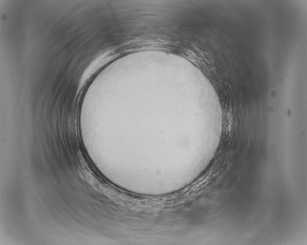 X0000057580004200510171719