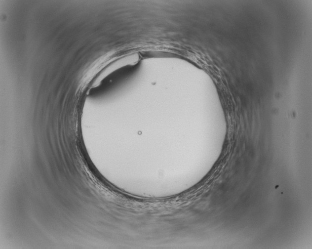 X0000057580005200510171719