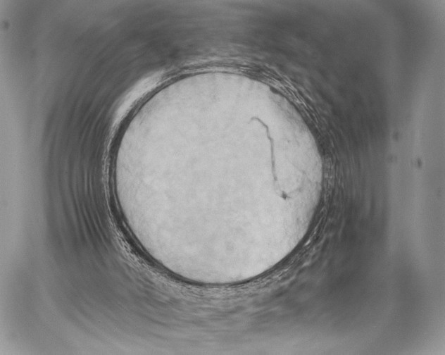 X0000057580006200510171719