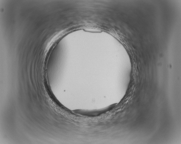 X0000057580007200510171719