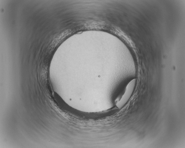 X0000057580009200510171719