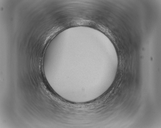 X0000057580010200510171719