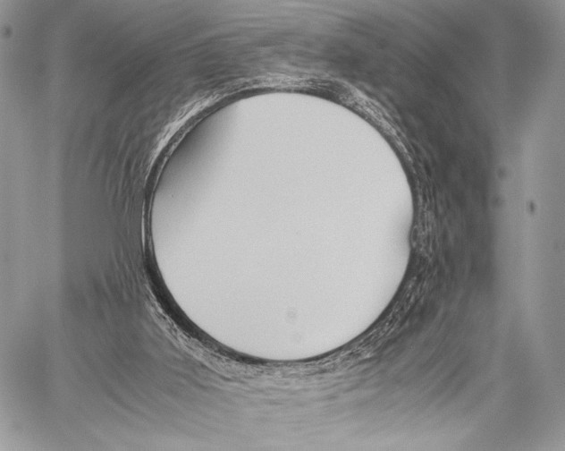 X0000057580011200510171719