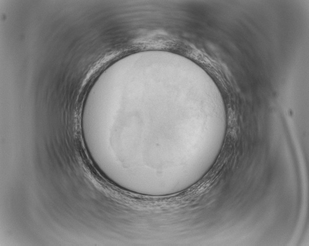 X0000057580012200510171719