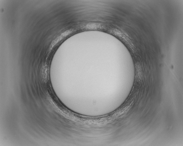 X0000057580016200510171719